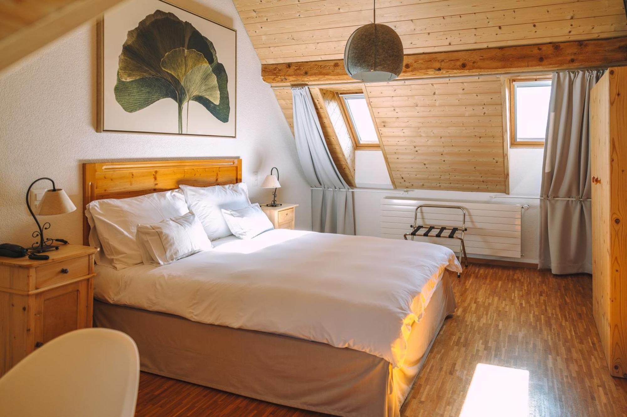 Les Montagnards Hotel Broc